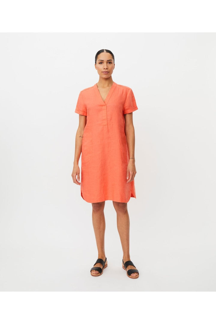 NAREELA DRESS | COL=CAMELLIA,FUSCHIA